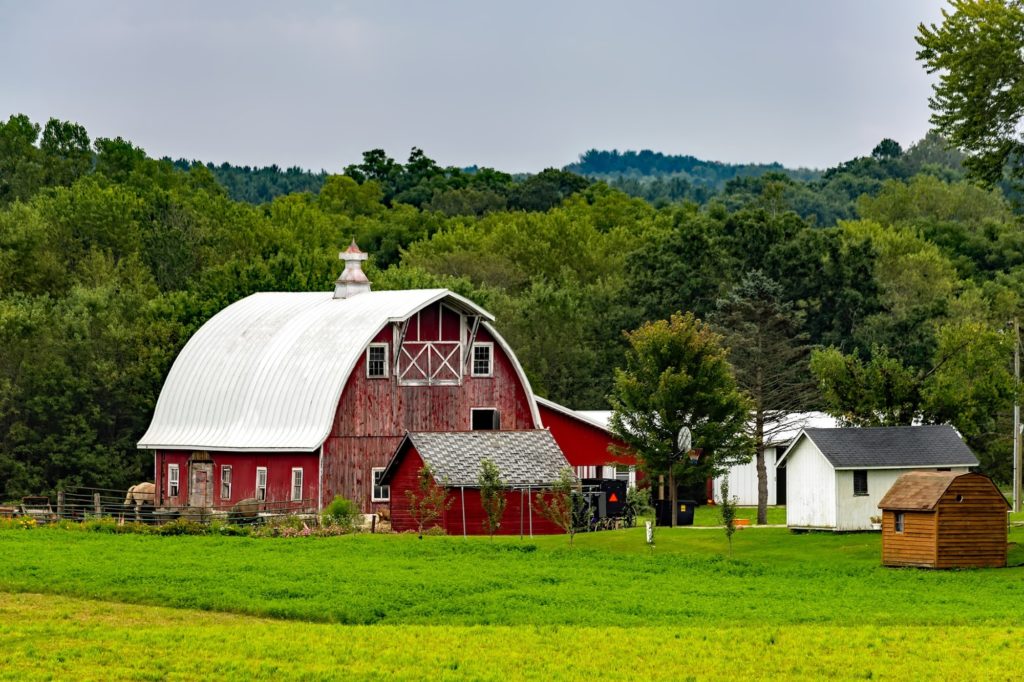 amish built shed ideas