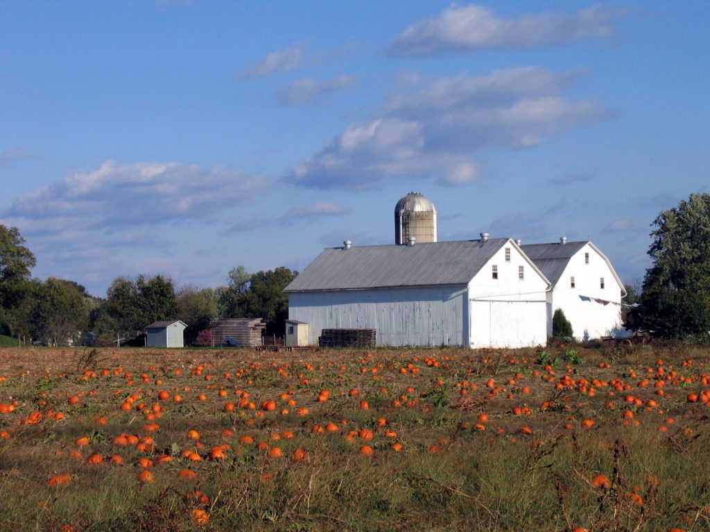 pre-built amish sheds for sale near mesheds direct, inc.