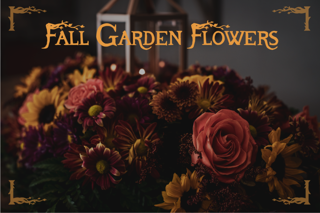 Fall Garden Flowers