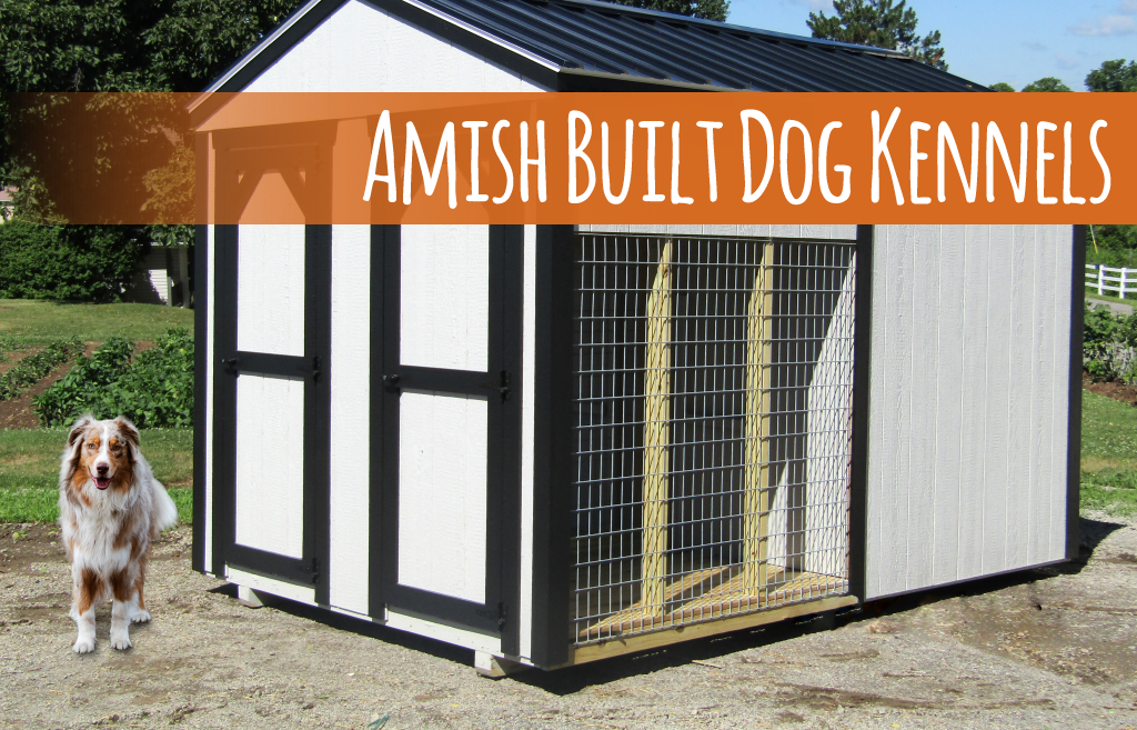 amish built dog house